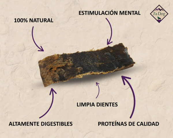 Atún de Isla Cristina (1)