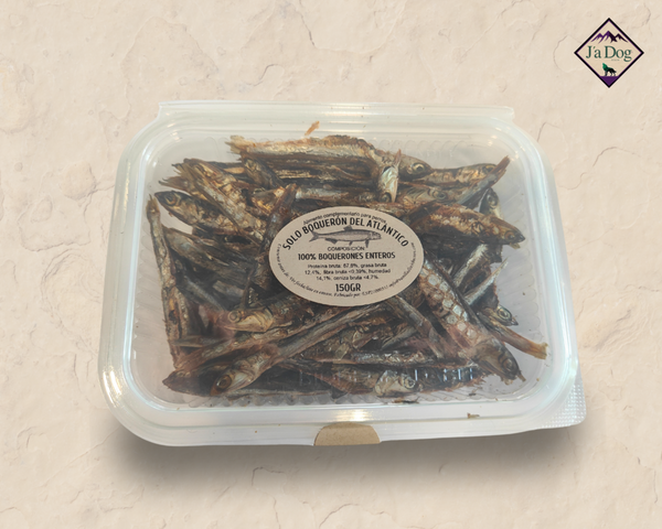 Boquerones del Atlantico
