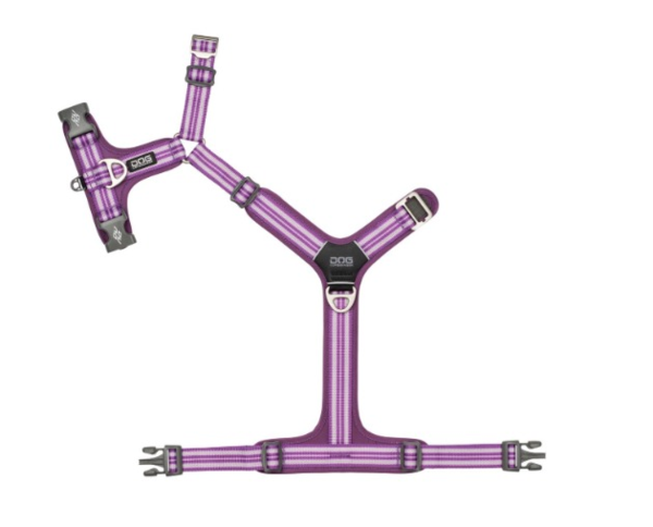 Comfort Walk Air™ - V3 Lila Pasión (3)
