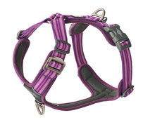 Comfort Walk Air™ - V3 Lila Pasión