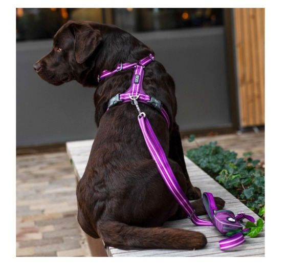Comfort Walk Air™ - V3 Verde Caza (4)