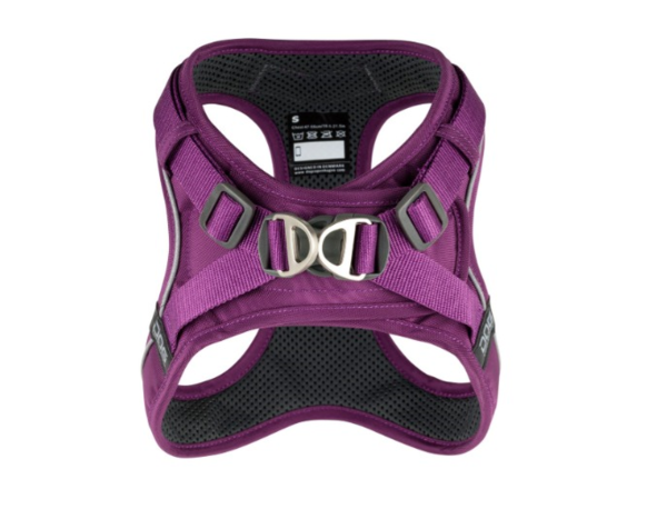 Comfort Walk Go™ Lila Pasión (1)