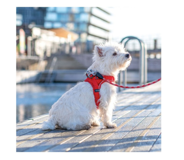 Comfort Walk Go™ Moka (4)