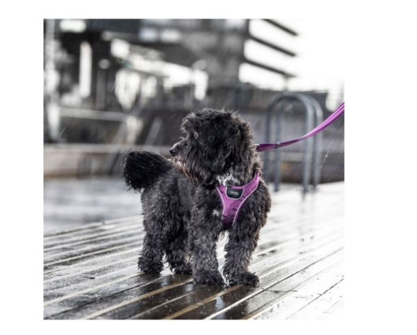 Comfort Walk Go™ Negro (4)
