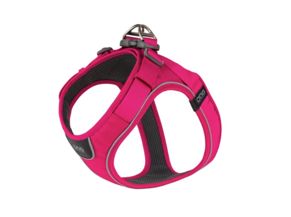Comfort Walk Go™ Rosa Silvestre (1)