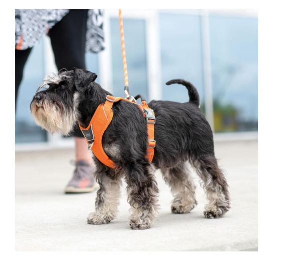Comfort Walk Pro™ - V3 Naranja Sol (5)