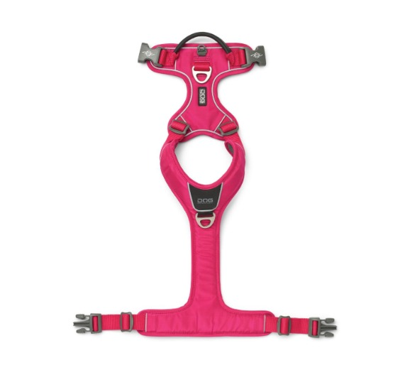 Comfort Walk Pro™ - V3 Rosa Silvestre (3)