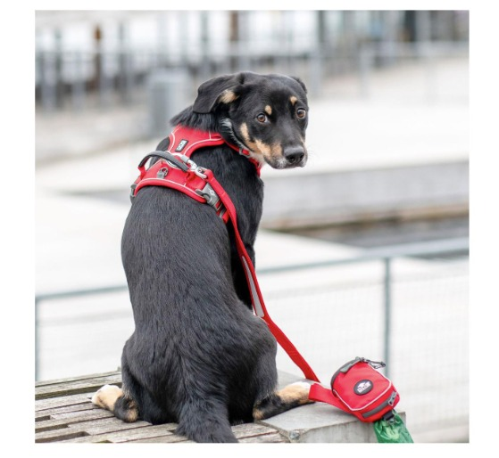 Comfort Walk Pro™ - V3 Rosa Silvestre (5)