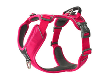 Comfort Walk Pro™ - V3 Rosa Silvestre