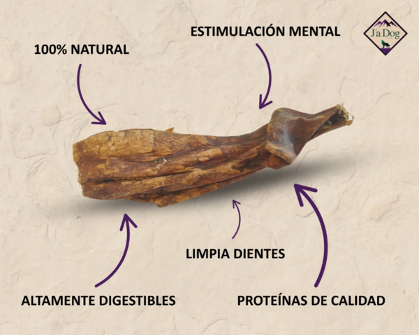 Hígado de Ternera (1)